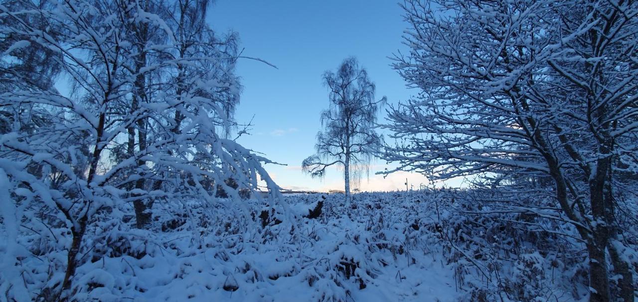 Torcroft Lodges ดรัมนาดรอคิท ภายนอก รูปภาพ