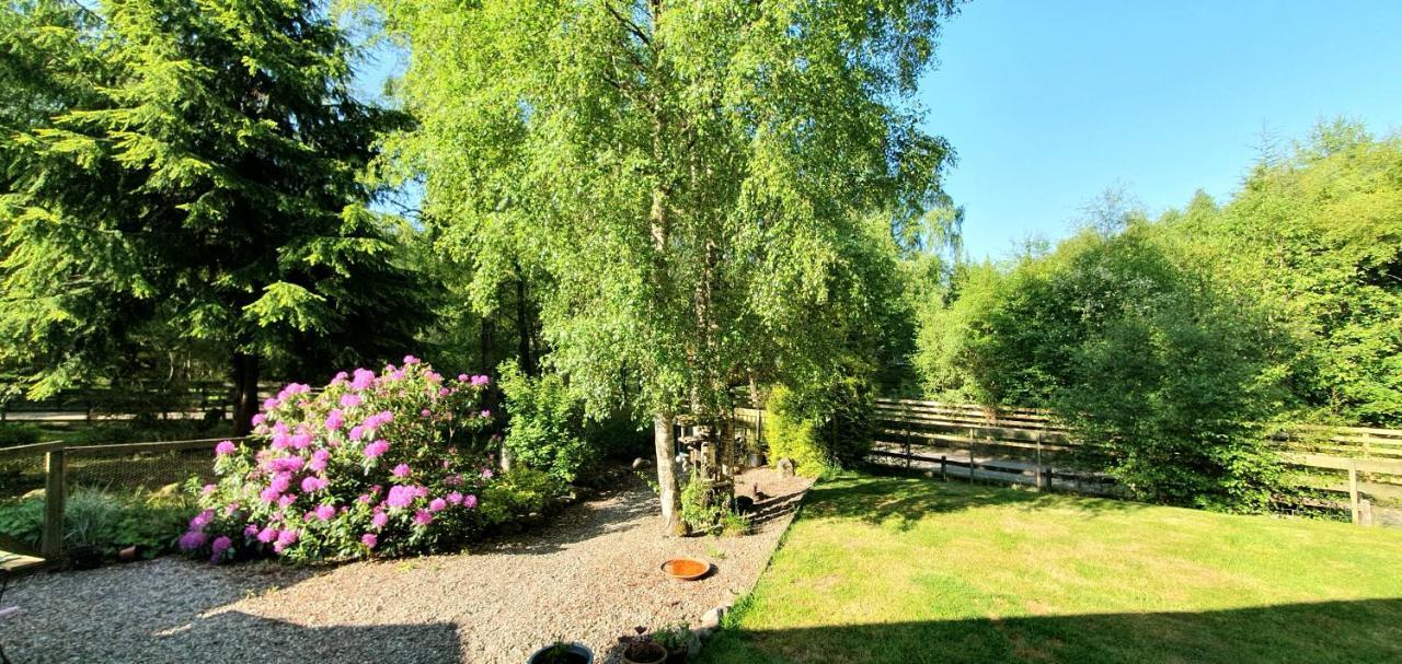 Torcroft Lodges ดรัมนาดรอคิท ภายนอก รูปภาพ