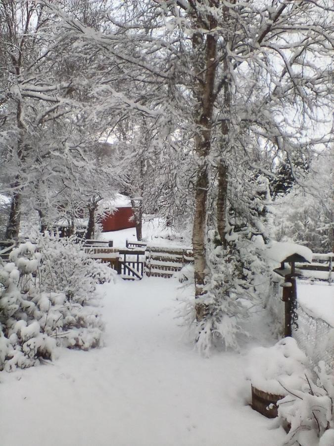 Torcroft Lodges ดรัมนาดรอคิท ภายนอก รูปภาพ