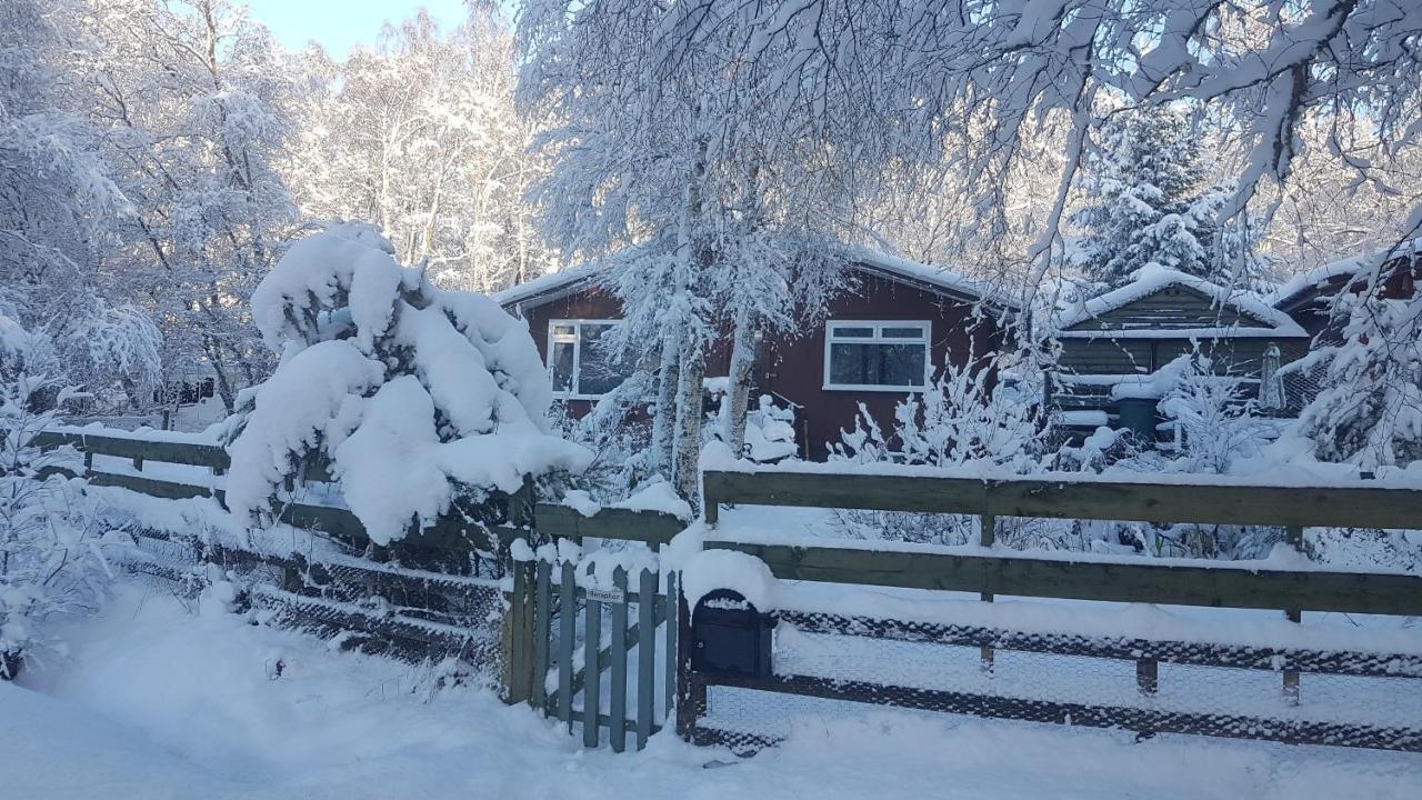 Torcroft Lodges ดรัมนาดรอคิท ภายนอก รูปภาพ