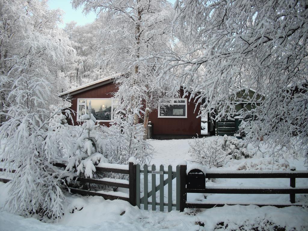 Torcroft Lodges ดรัมนาดรอคิท ห้อง รูปภาพ